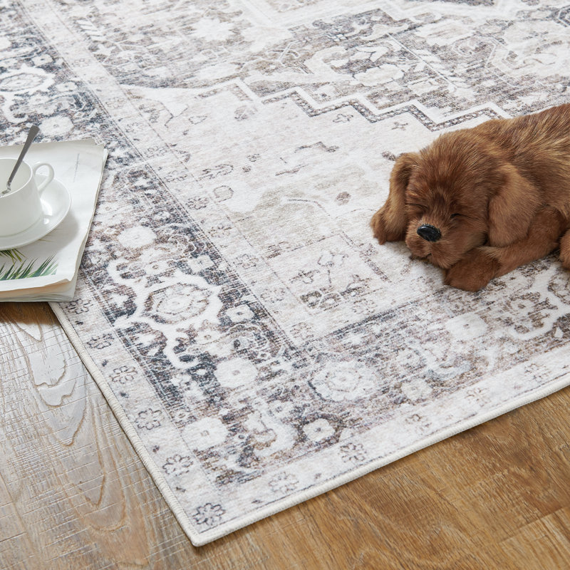 Chenille Mashine Washable Oriental Indoor Arae Rug with Non-Slip Backing for Bedroom Living Room Kitchen Entryway