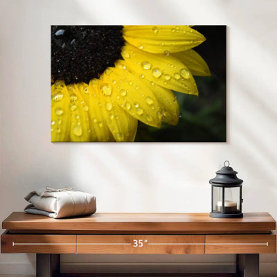 Harnek Dewy Sunflower