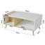 Ochoa Coffee Table with Storage