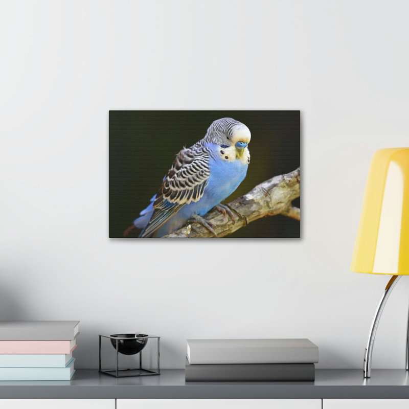 Art mural majestueux Budgie, H 11 po x l 14 po