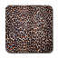 Square 6 Piece Coaster Set