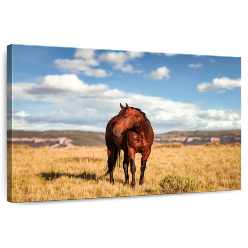 Wild Quarter Horse, 32" H x 48" W
