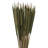 Flournoy Arrangement-474869458