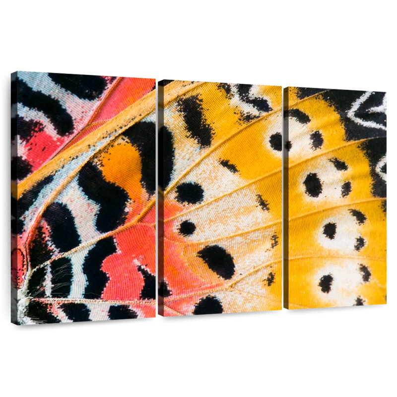 Ailes de papillon Brampt, H 36 po x l 57 po