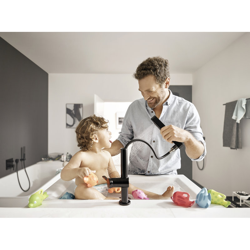 hansgrohe Finoris Single-Hole Faucet 230 with 2-Spray Pull-Out, 1.2 GPM, Matte Black