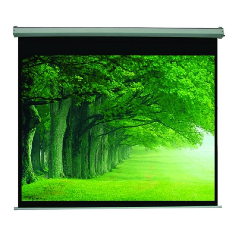 Écran de projection électrique noir Claudette, H 100" x l 100"