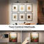 Battery Powered LED Wall Mount Picture Light