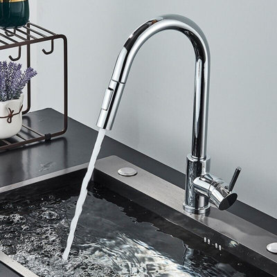 Belfry Kitchen Waldron Pull Out Kitchen Faucet