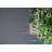 Tapis noir Imogen-Leigh Grid-639284974