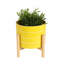 Pot de fleurs d'extérieur en céramique brillante sur support pour décoration intérieure - Pot de fleurs moderne et contemporain pour le salon ou le patio - Jaune-1188667233-1188667232