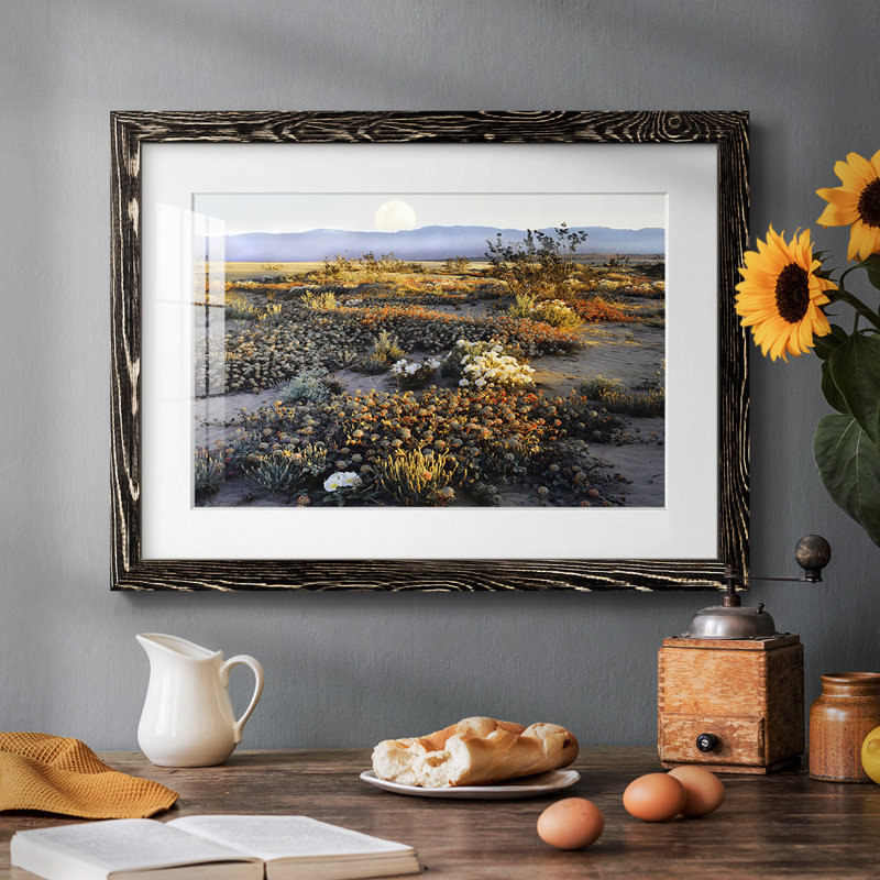 Anza Borrego Desert, reproduction d'art encadrée, Noir, H 22 po x l 32 po x P 1,5 po