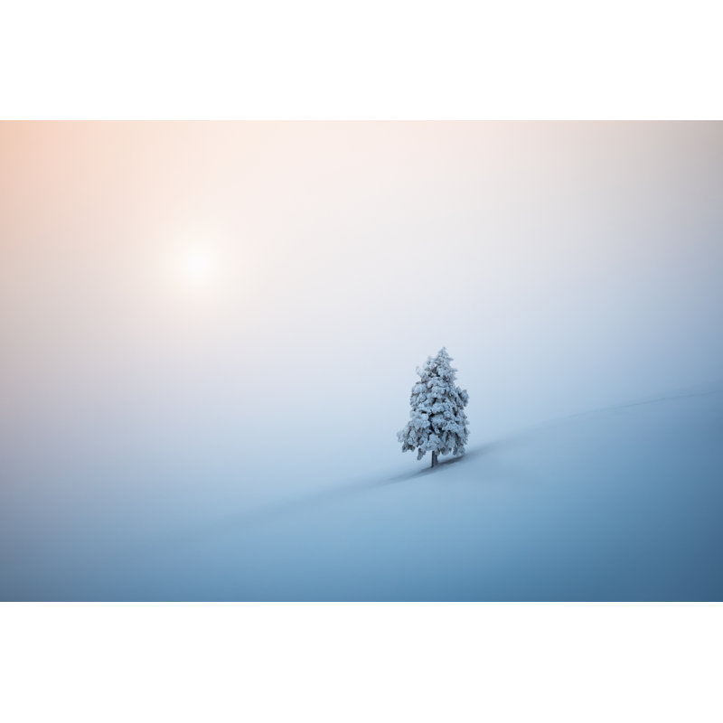 Christmas Tree by Borchee - No Frame Print on Canvas, 30cm H x 46cm W