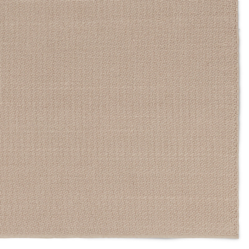 Area Rug in Beige, Rectangle 4' x 6'