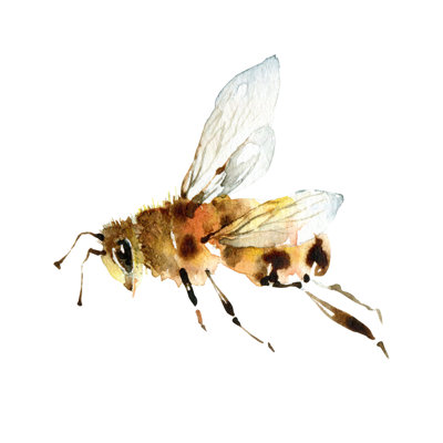 Cute Bee 1 Piece Wrapped Canvas Painting