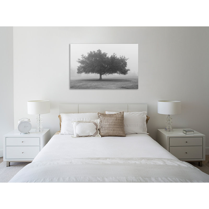 " Trees In Fog BW " by Dianne Poinski, 28" H x 42" W x 1.5" D