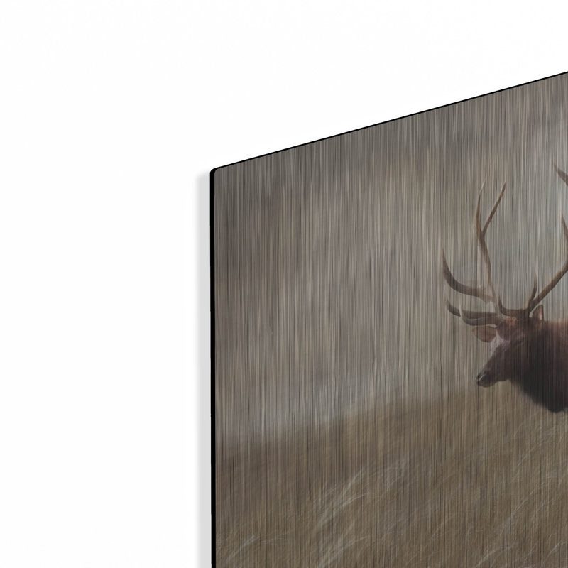 «Elk In The Field» par Lori Deiter, H 12 po x l 16 po