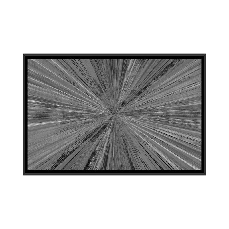 Lumière chatoyante I, H 18 po x l 26 po, Toile à cadre flottant noir, Noir / blanc inversé
