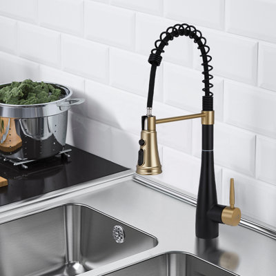 Belfry Kitchen Pull Out Kitchen Faucet