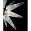 Lustre géométrique clair-91754541-91754545-91754546