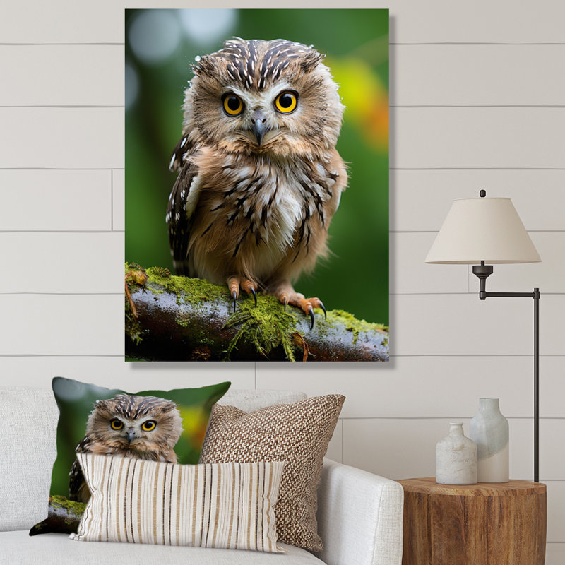 Portrait d'une chouette brune I sur toile, H 44 po x l 34 po, Toile tendue