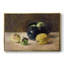 Vintage Botanical Print-LXVI Framed Gallery Wrapped Canvas-582176938-582176939