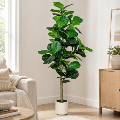 6 Ft Artificial Fiddle Leaf Fig Tree with White Planter