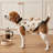 Polyester P et Raincoat Warm Dog Kitty Winter Coat Thick Padded Pet Jacket Cold Weather Puppy Clothing Cozy Outdoor Apparel For Small Medium Dogs And Kitties-135400276