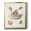 Pastel Knorr Shells VII, toile encadrée de qualité supérieure - prête à être accrochée-1667618920-1667618925