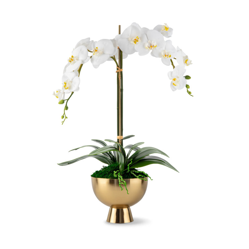 Orchidée Monet RealTouch en piédestal doré, Neige