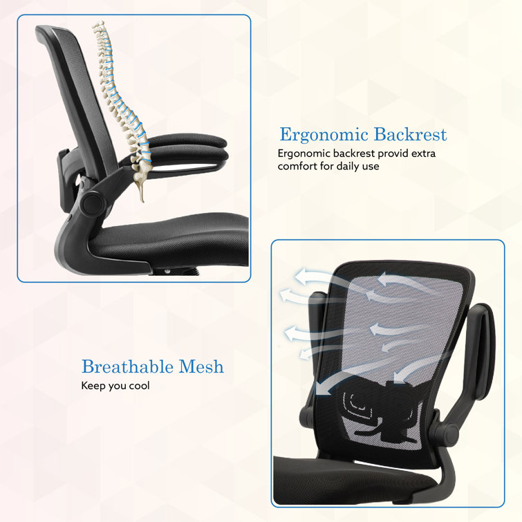 https://assets.wfcdn.com/im/88967150/resize-h755-w755%5Ecompr-r85/2153/215331781/Flip+Top+Ergonomic+Mesh+Drafting+Swivel+Desk+Chair+Lumbar+Support%2C+Height+Adjustable+with+Foot+Ring.jpg