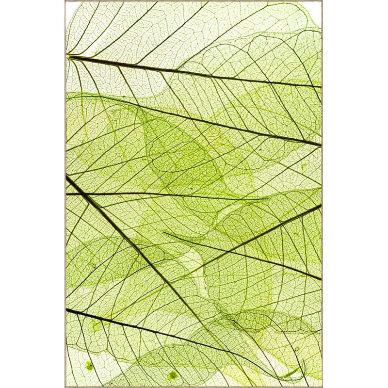 Tapis lavable Green Leaf, Sous-tapis rectangulaire 2 pi 4 po x 3 pi 11 po