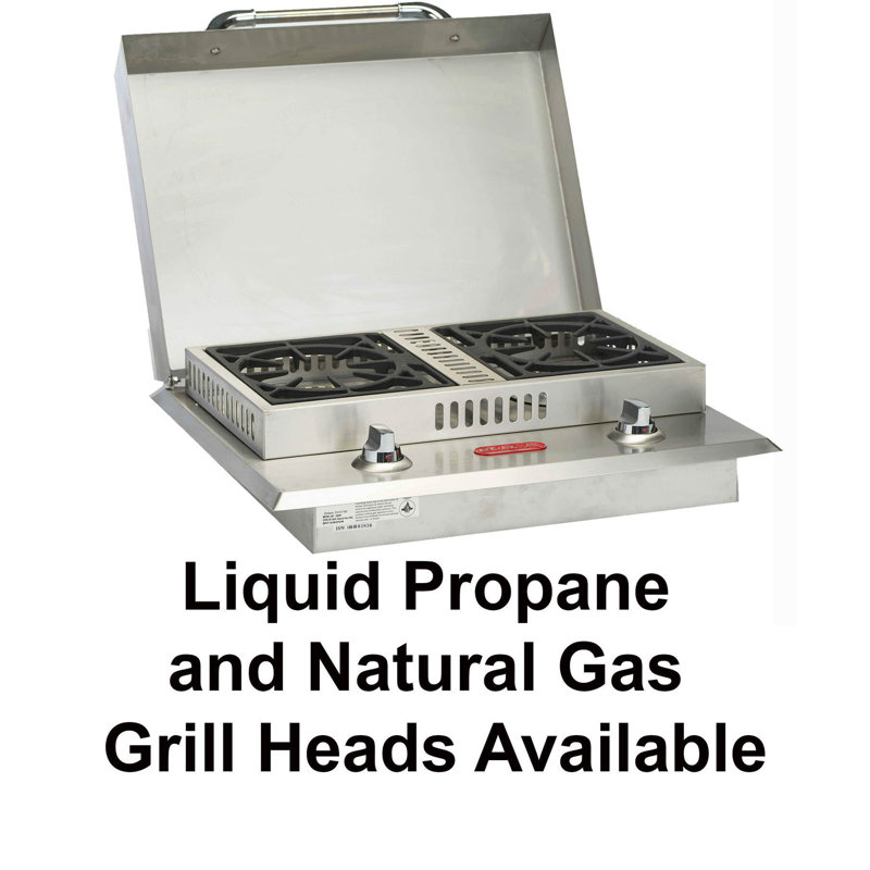 Bull Outdoor Products 2 - Burner Portable Liquid Propane Gas Grill with Side Burner