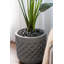 Lisle Pot Planter-228607743-228607742