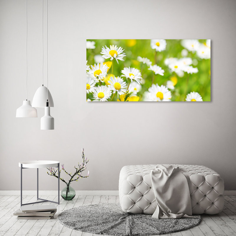 Daisies - Wrapped Canvas Print