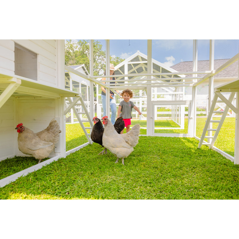 Modern Countryside Chicken Coop With Poultry Pen & Coop Connection