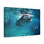 No Frame Print on Canvas-1071174044