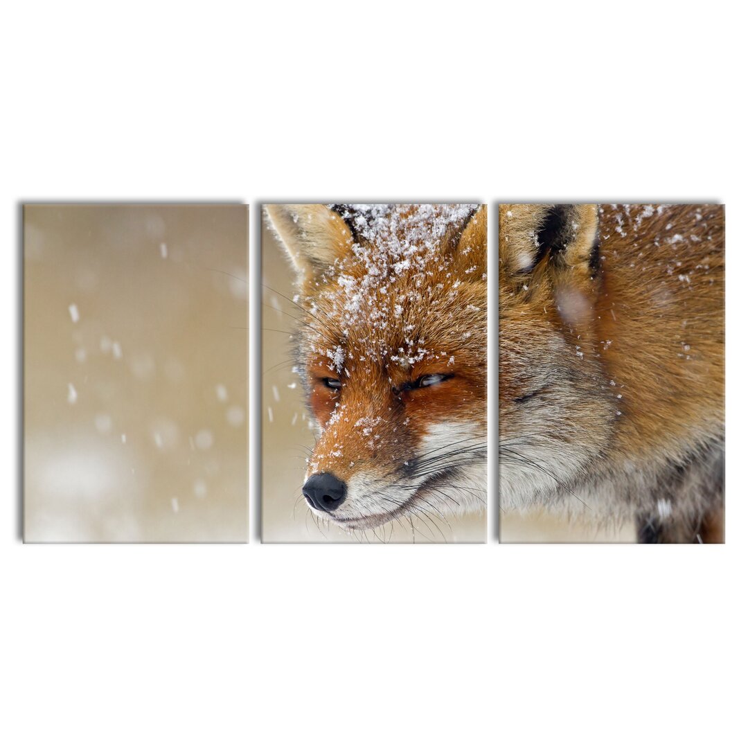 3-tlg. Leinwandbilder-Set Fuchs im Schnee