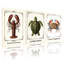 Ensemble de 3 reproductions d'art sur toile, "Lobster Turtle Crab"-168293776