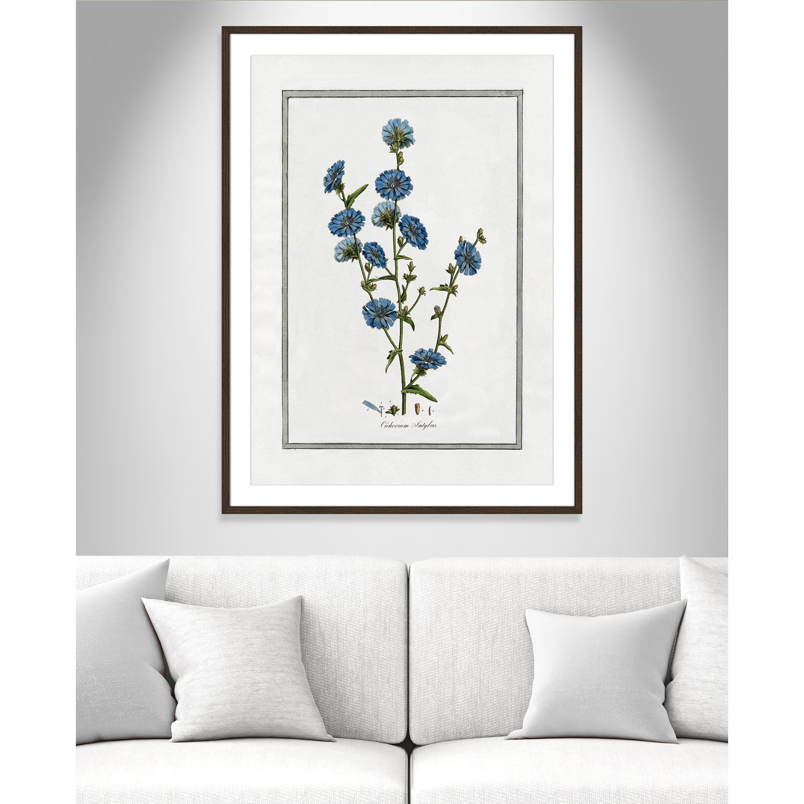 Colombe "Soft Botanical I" Print, 29.5" W x 41.5" H, Walnut Framed