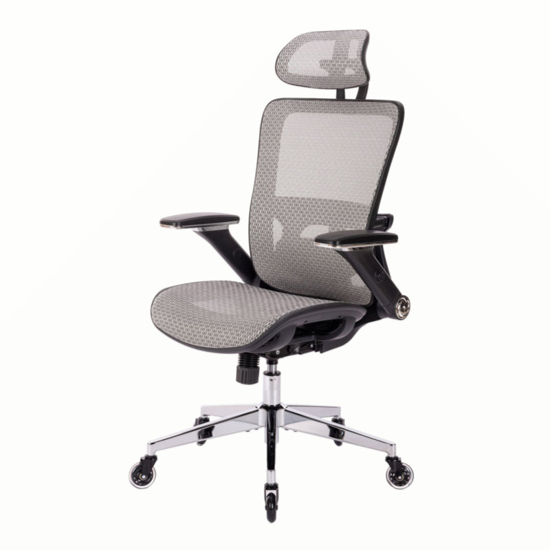 Fauteuil de bureau Ergo Mesh, Bleu, Clair