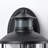 Weddel Wall Light-2017075715-2034256738
