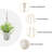 Chyvonne Plant Hanger