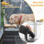 Elevated Feeder