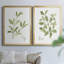 Toile encadrée Herb Sage Premium - prête à être accrochée-1062113800-1062113810