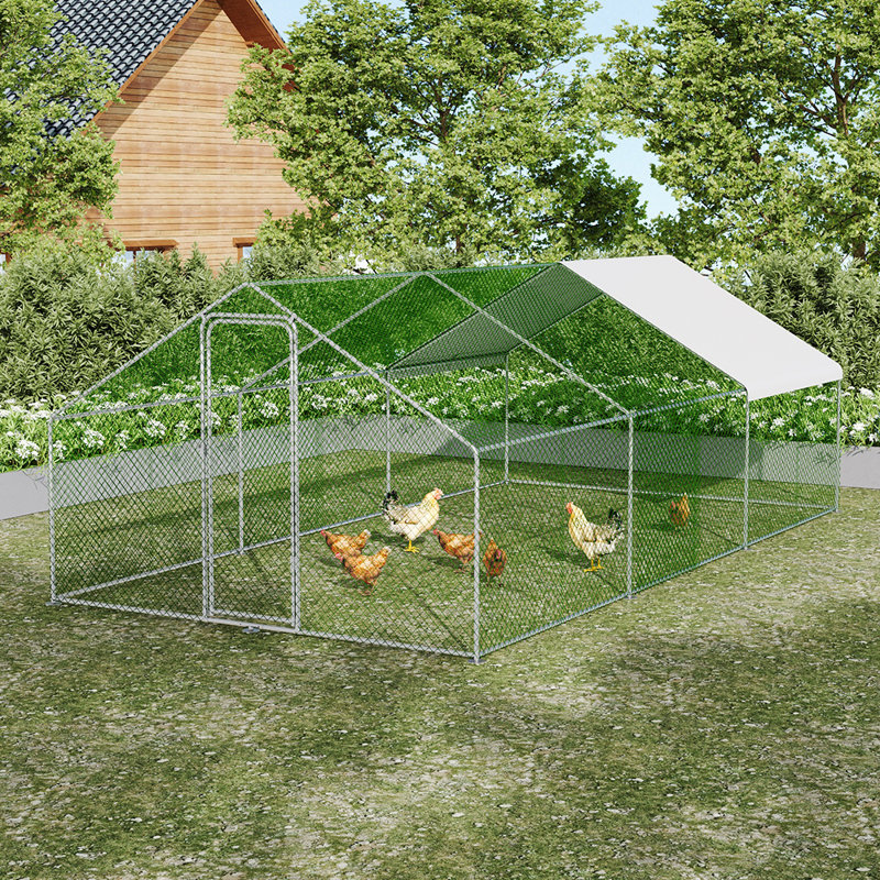 11.48m² Chicken Coop