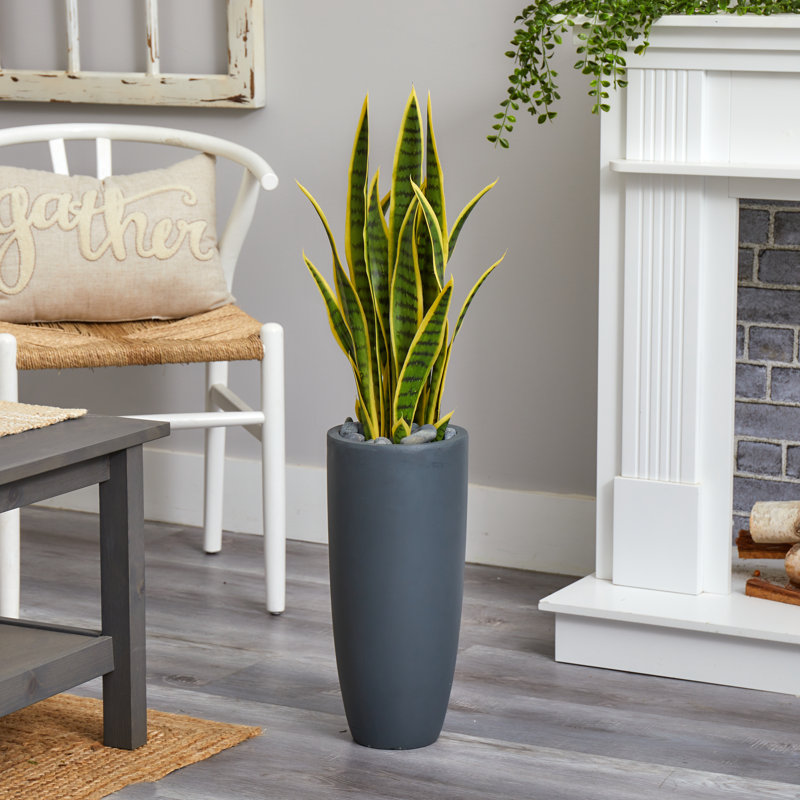Sansevieria, plante serpent artificielle en pot