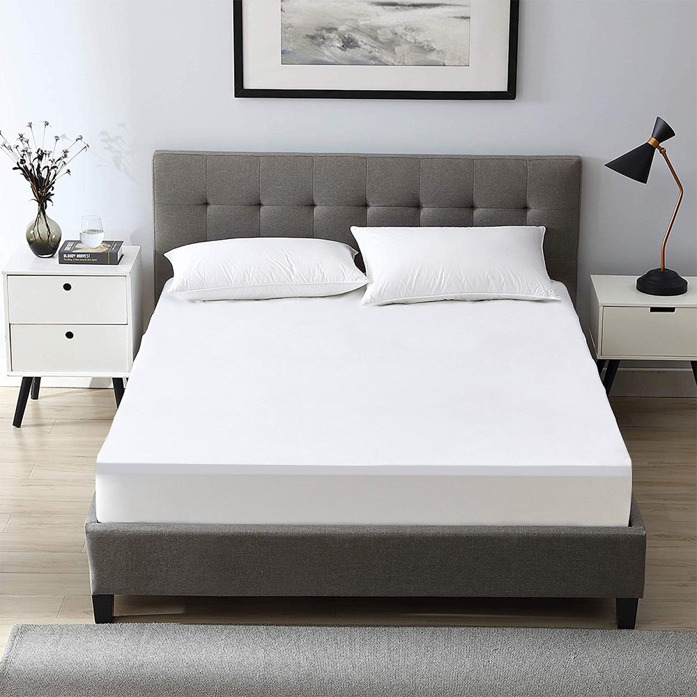 Torrens Waterproof Fitted Mattress Protector Mattress Protector Case Pack Alwyn Home 