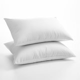 Duck Down Feather Throw Pillows (set Of 2)