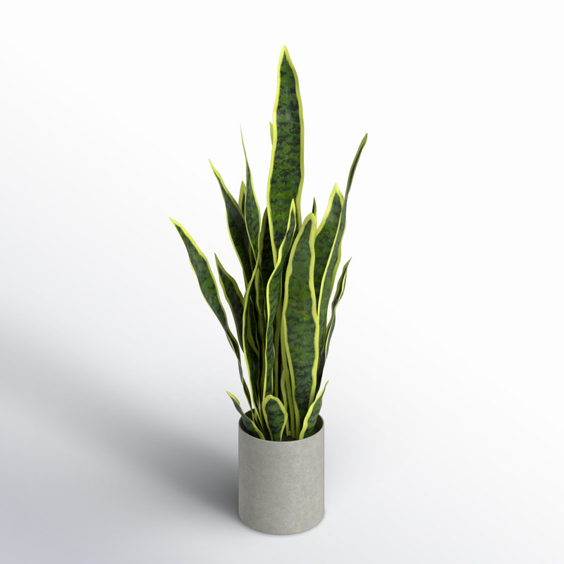 Artificial Sansevieria Snake Plant in Pot, 25'' H x 11'' W x 11'' D