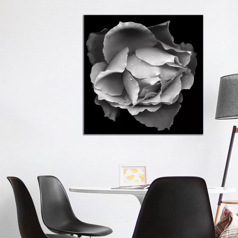 Salmon Rose VII, B&W 1 Piece Wrapped Canvas Wall Art, 93.98 cm H x 93.98 cm W x 1.91 cm D